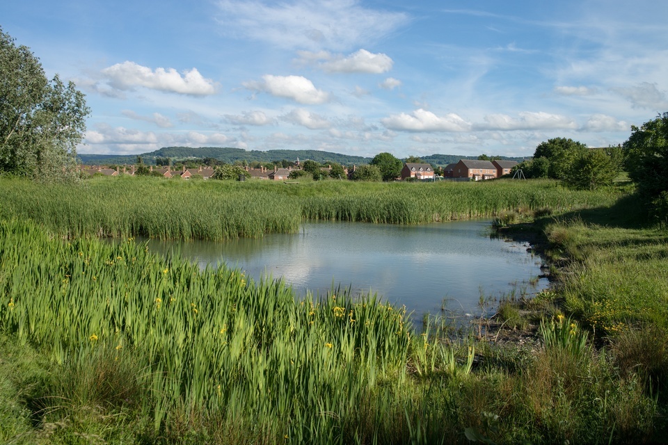 New £10 million fund to drive private sector investment in nature
