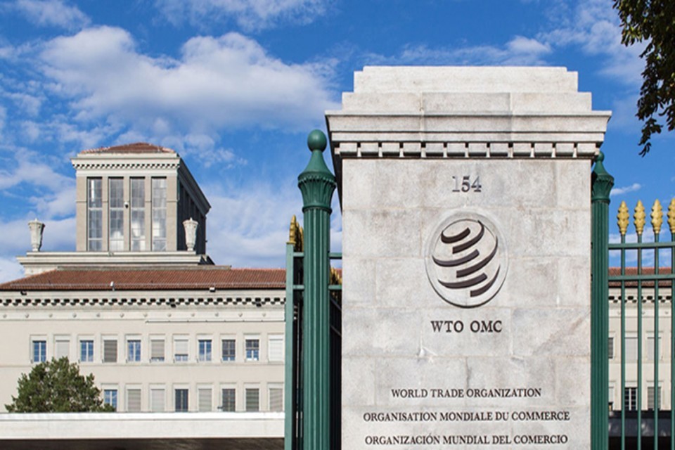 WTO Trade Policy Review of Myanmar: UK statement