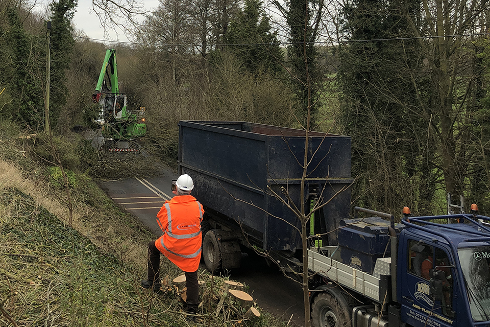 A345 ash dieback tree felling completed ahead of schedule