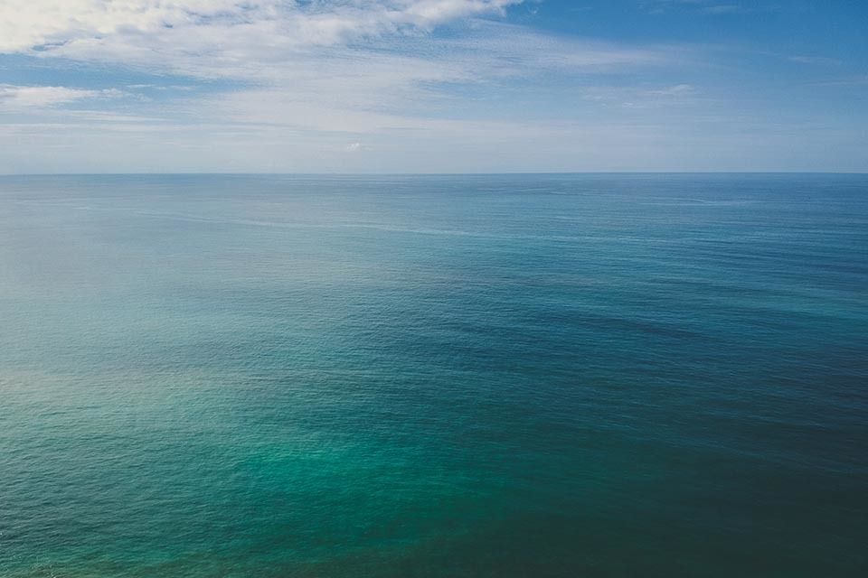 MMO Statement: 24 February 2021