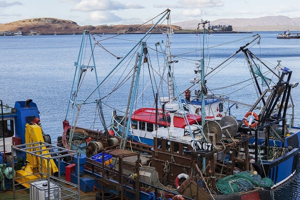 Additional support for UK fish and shellfish exporters to the EU