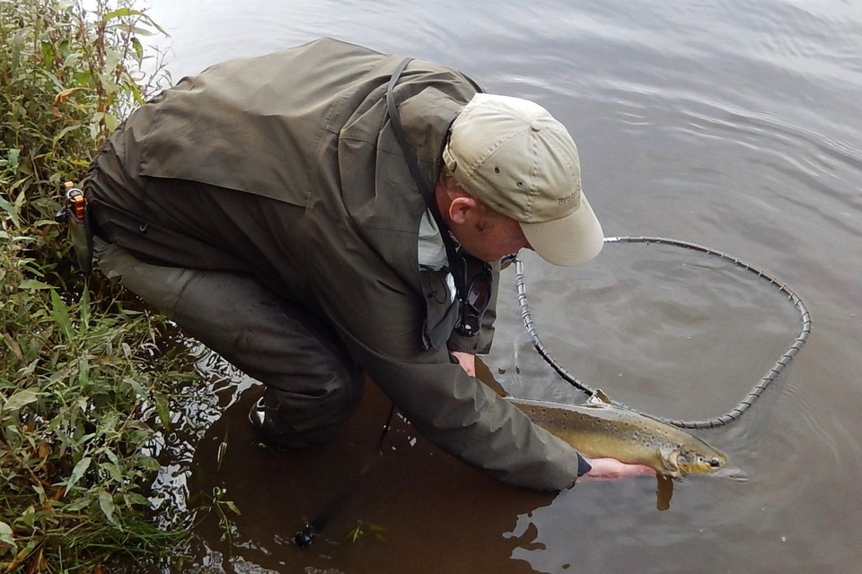 Proposed new byelaws to protect salmon stocks on the Severn