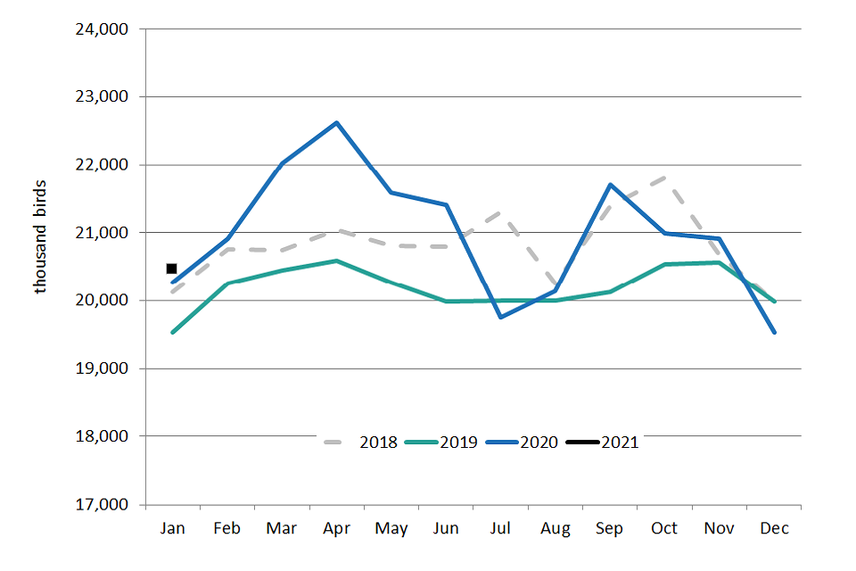 Average number of broilers slaughtered per week in the UK