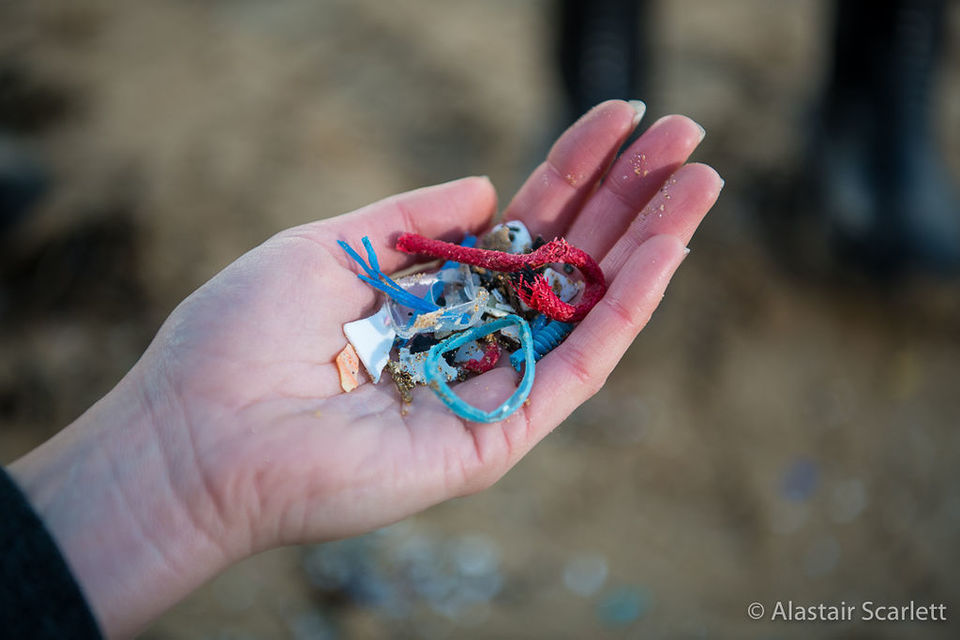 New resources encourage young farmers to protect the environment