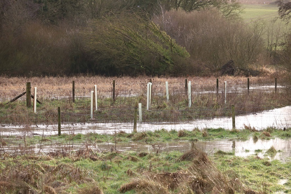 900 trees planted along Suffolk rivers