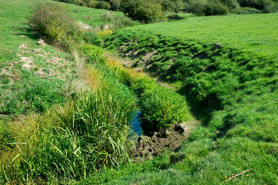 How we’re protecting watercourses and preventing flooding at Burgess Hill