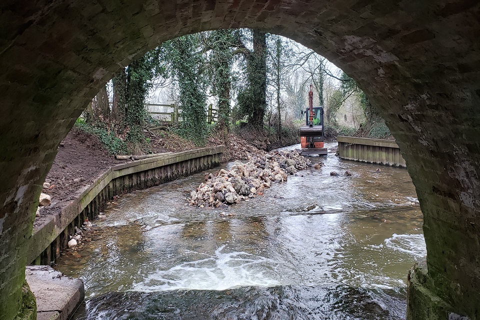 Boost for fish migration in Norfolk chalk stream