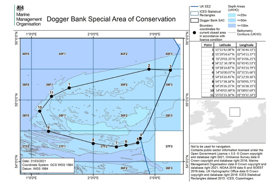 Dogger Bank Scallops