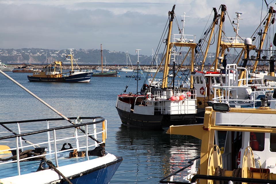 MMO announce first panel dates for Fisheries and Seafood Scheme in England.