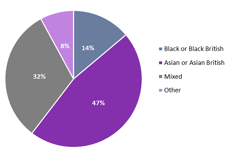 Figure 3.4 is a pie chart showing the within-group proportions of new recruits since 1 April 2020 who identify as a minority ethnic group - 47% identify as Asian or Asian British, 14% as Black or Black British, 32% as being ‘Mixed’, and 8% as 'Other'.