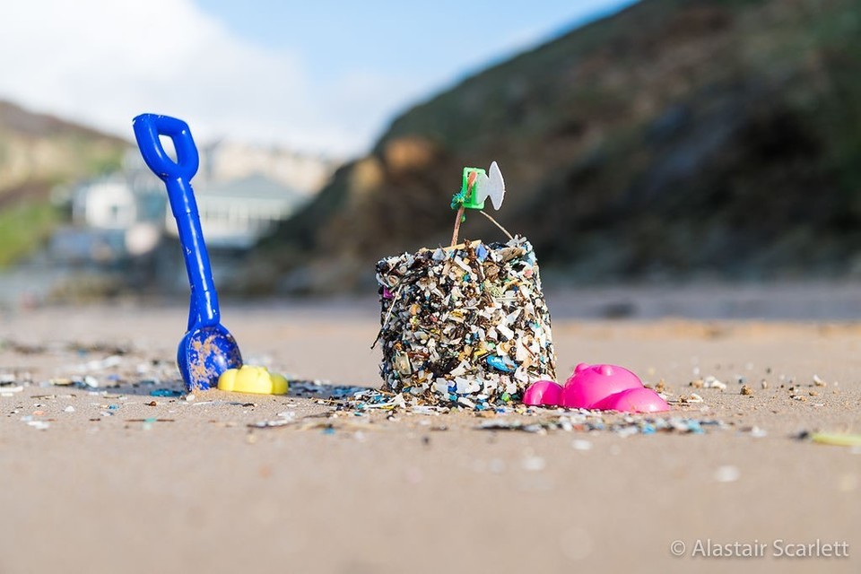 Environment Agency launches World Ocean Day resources for schools