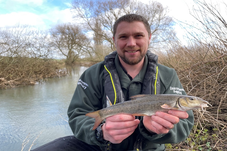24,000 fish restocked across East Anglia