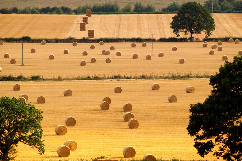 More than 2,000 farmers respond to Sustainable Farming Incentive pilot