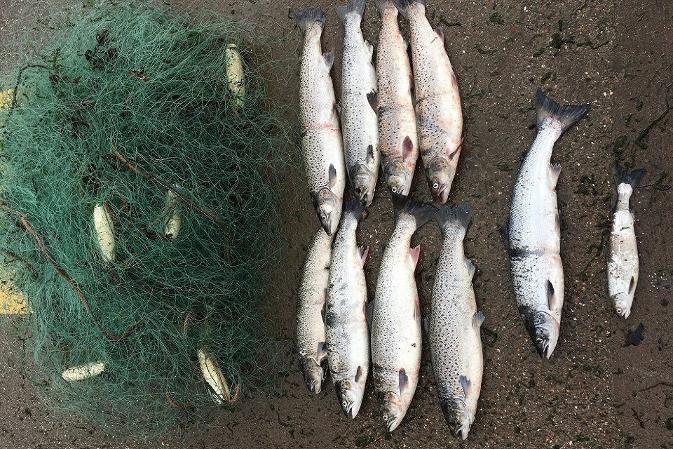 Two men fined for poaching in Northumberland