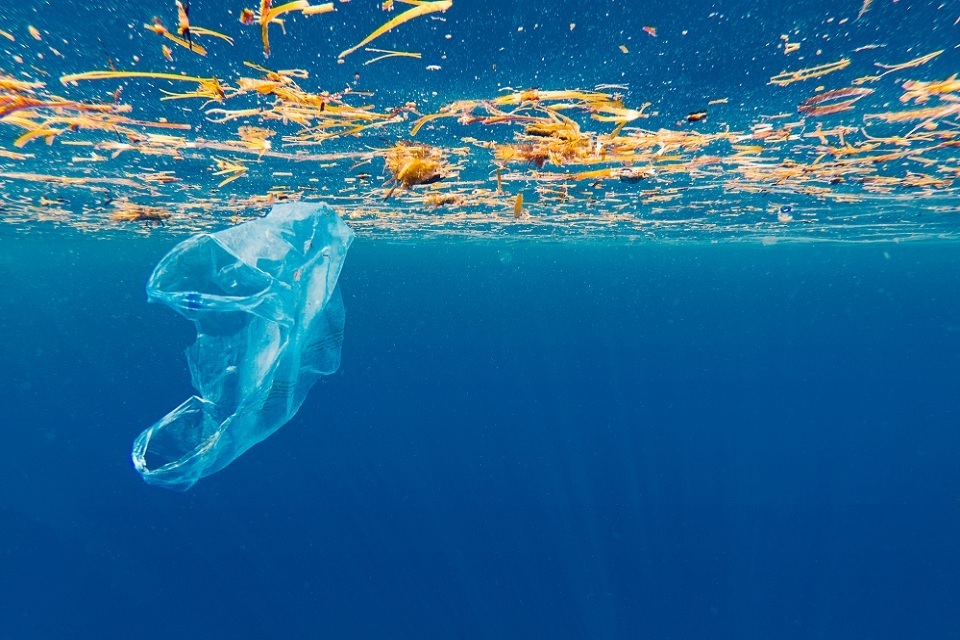 10p plastic bag charge introduced in England GOV.UK