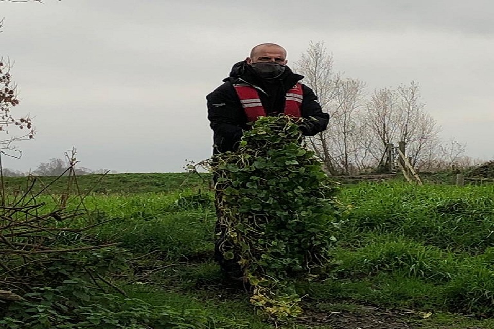 37km of the River Great Ouse free of invasive Floating Pennywort