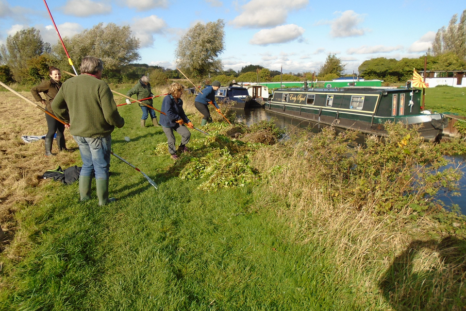 Volunteers clear floating pennywort from 10km of the River Cam