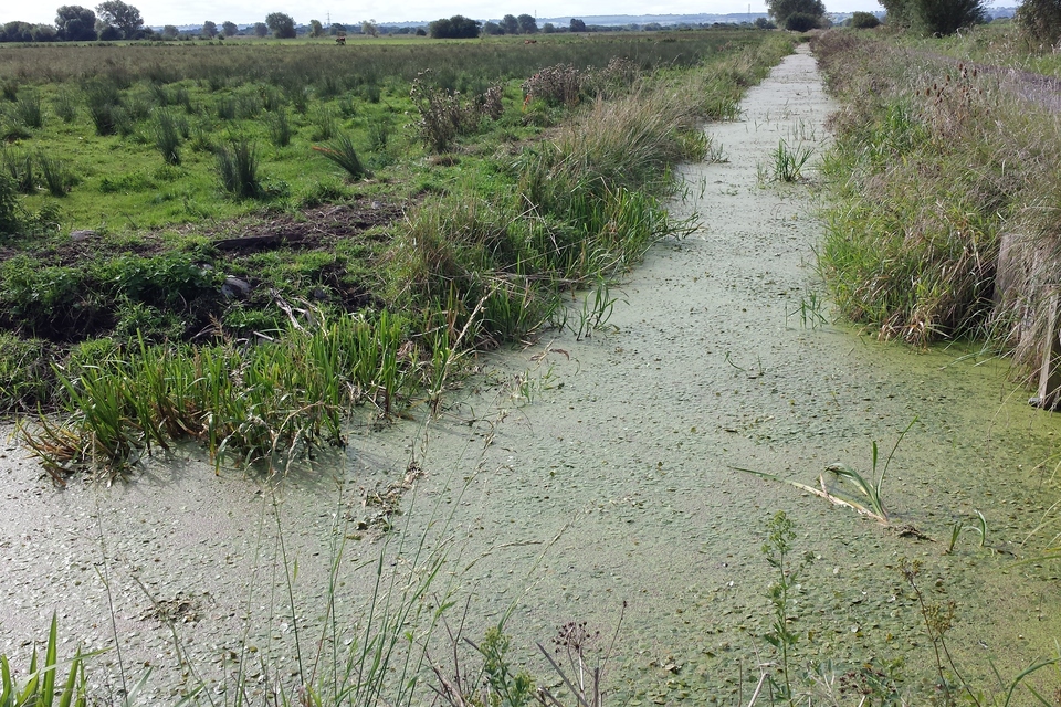 Action needed to fix Somerset Levels and Moors' phosphate level
