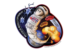 Logo of the MME 2 experiment