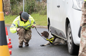 Armed Forces personnel use a military working dog to inspect a vehicle ahead of the G7 Leader's Summit.