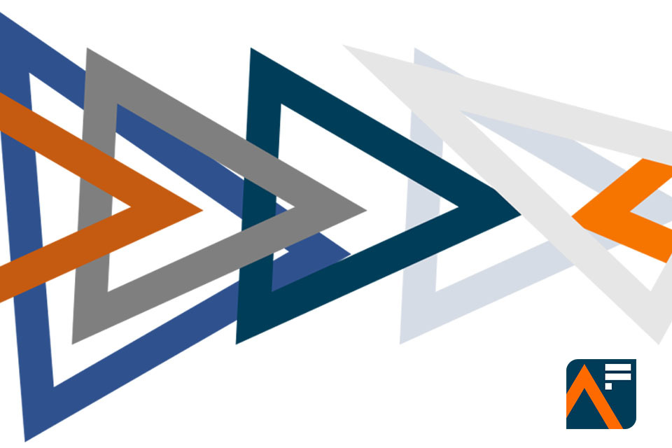 Analysis Function Diversity and Inclusion Survey