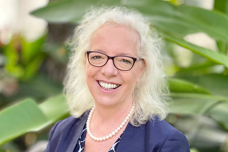 Change of British High Commissioner to Guyana 2021