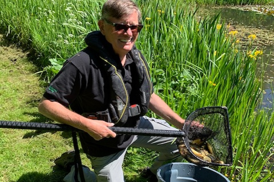 Fish stock is a recipe for success