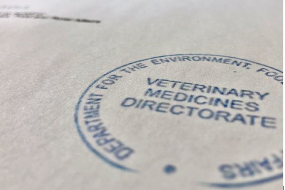 Vets: help us to improve the Special Import Service