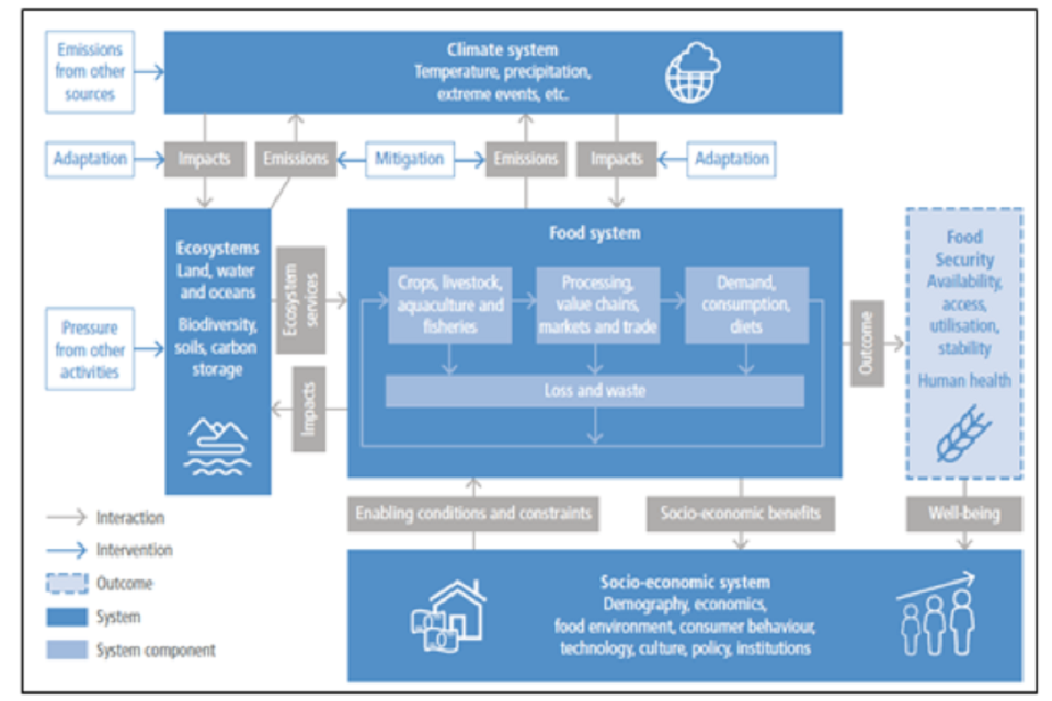 Infographic of how the climate system impacts on ecosystems and the food system, with outcomes on food security.