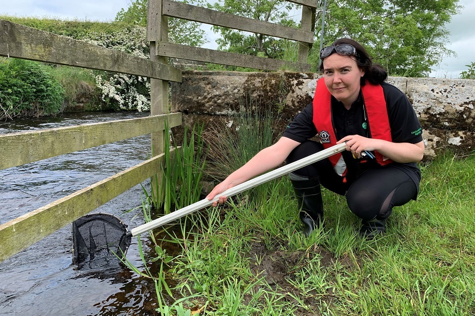 Rivers in the North East get fish stocks boost