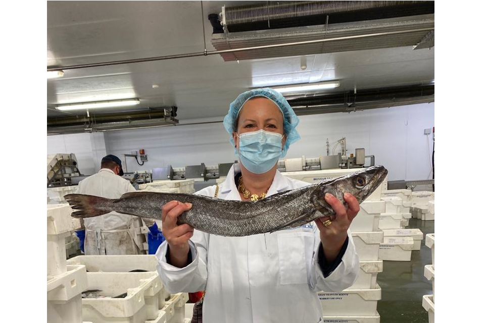 Fishing Minister visits historic fishing port of Brixham