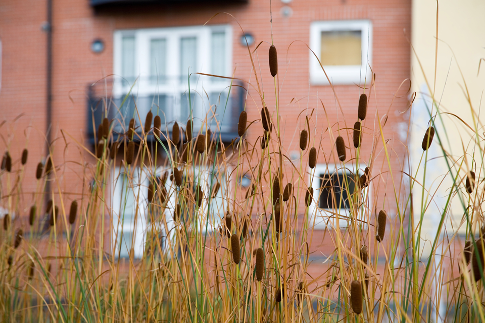 Inspectorates: Rainsbrook children and staff fear serious harm