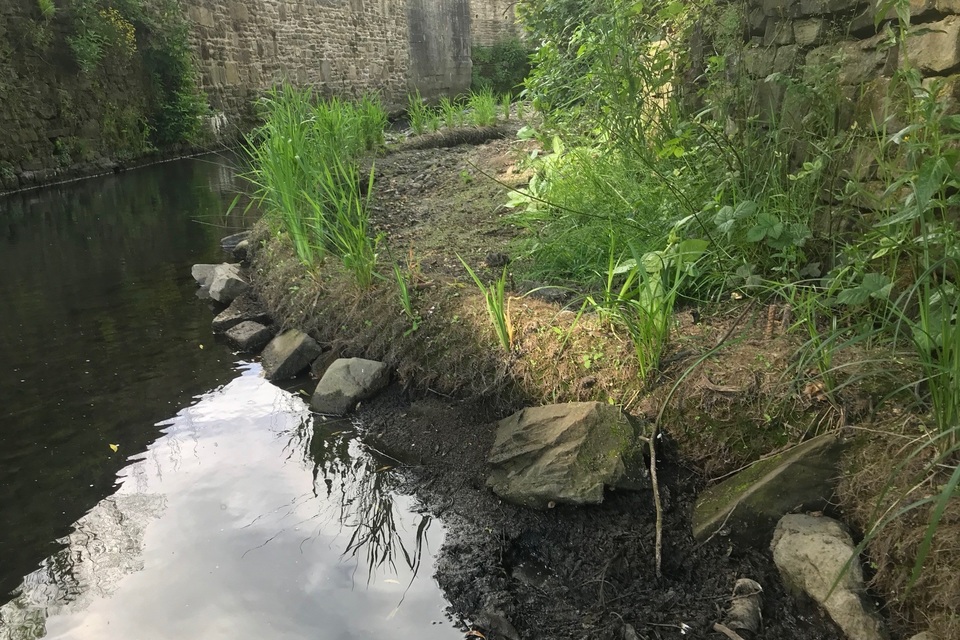 Back to nature for Bradford Beck