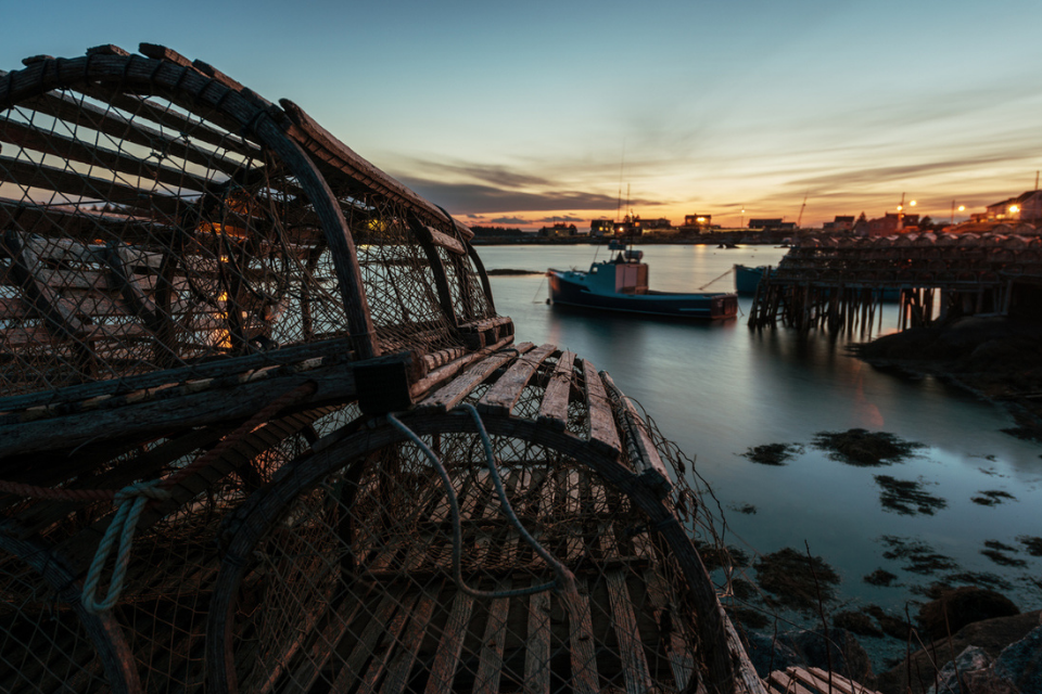 Fisheries and Seafood Scheme Update