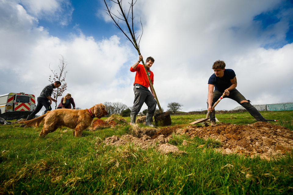 New Plymouth and South Devon Community Forest announced