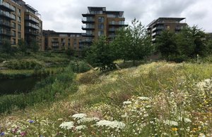 Image of houses behind meadow of grass