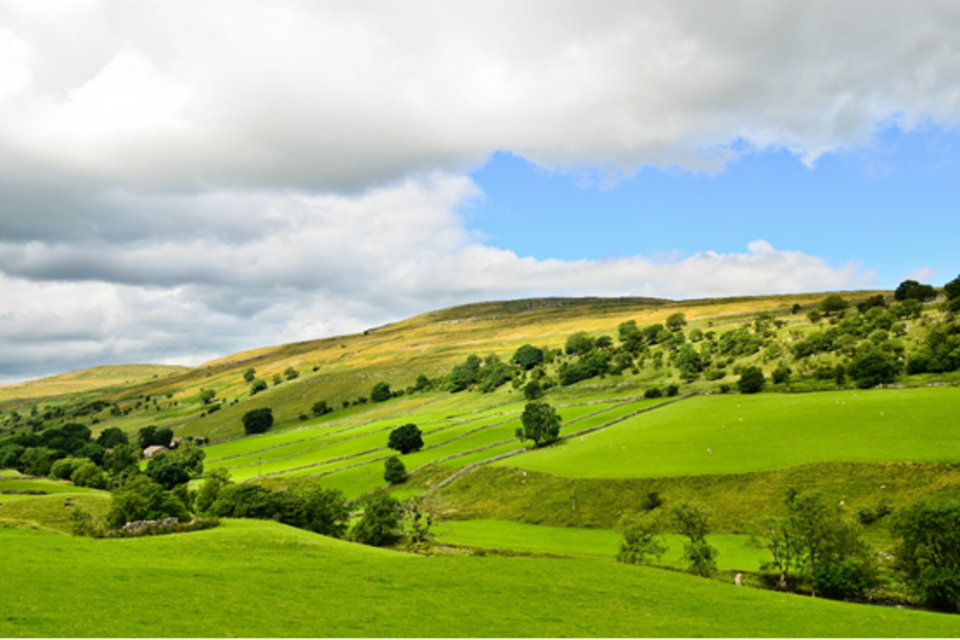 Future Farming Resilience Fund to open in August