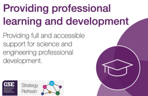 Providing professional learning and development