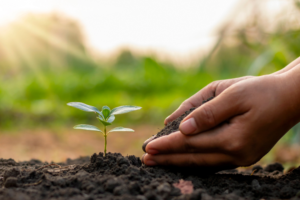 Multi million pound boost for green jobs and nature recovery