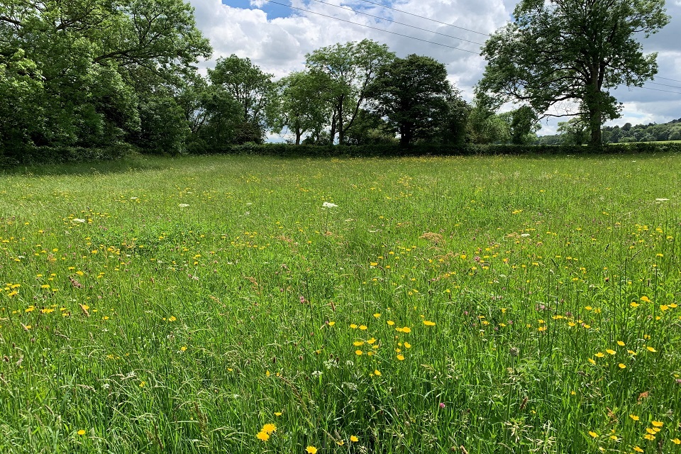 Leicestershire beauty spot declared SSSI