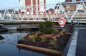 The image shows a floating ecosystem at Sunderland Marina