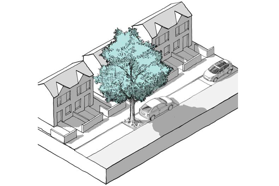 This is a 3D line drawing of a residential street. A large mature street tree is integrated into an area of on street parking.