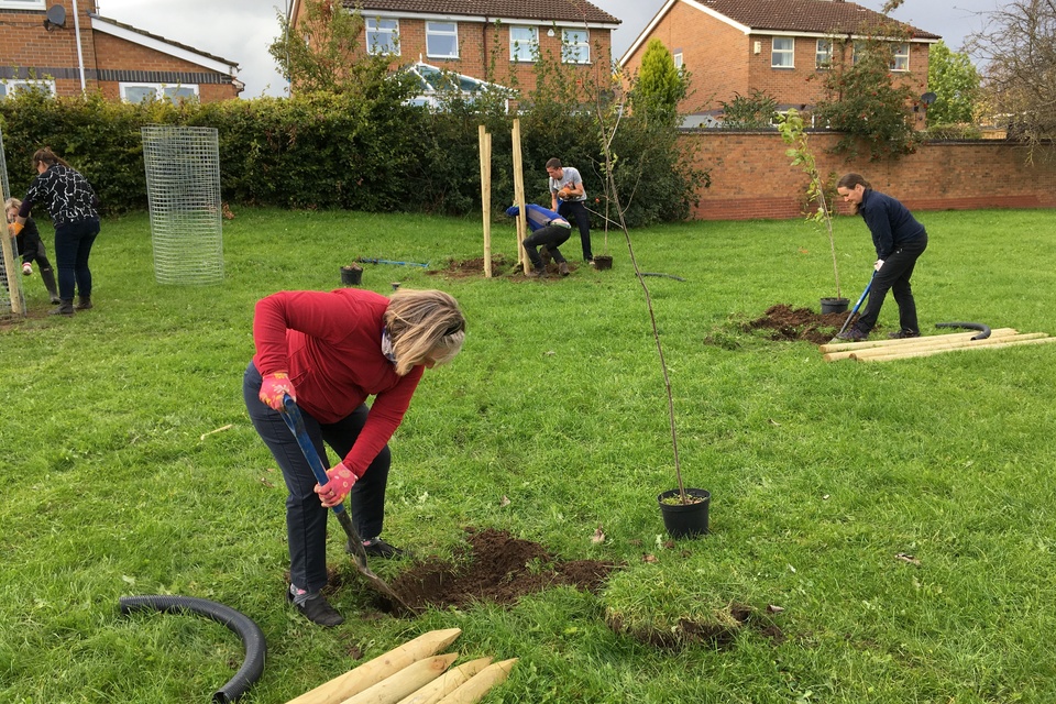 Appeal for local knowledge to achieve tree planting ambitions in York