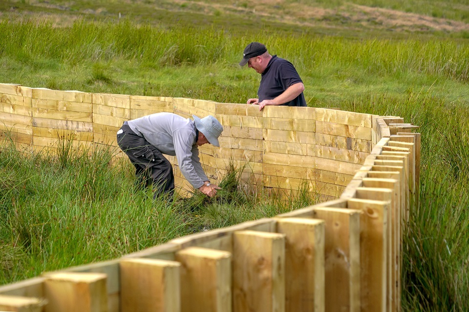 Pioneering North East project uses nature to reduce flood risk