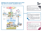 Transforming Infrastructure Performance: Roadmap to 2030 - GOV.UK