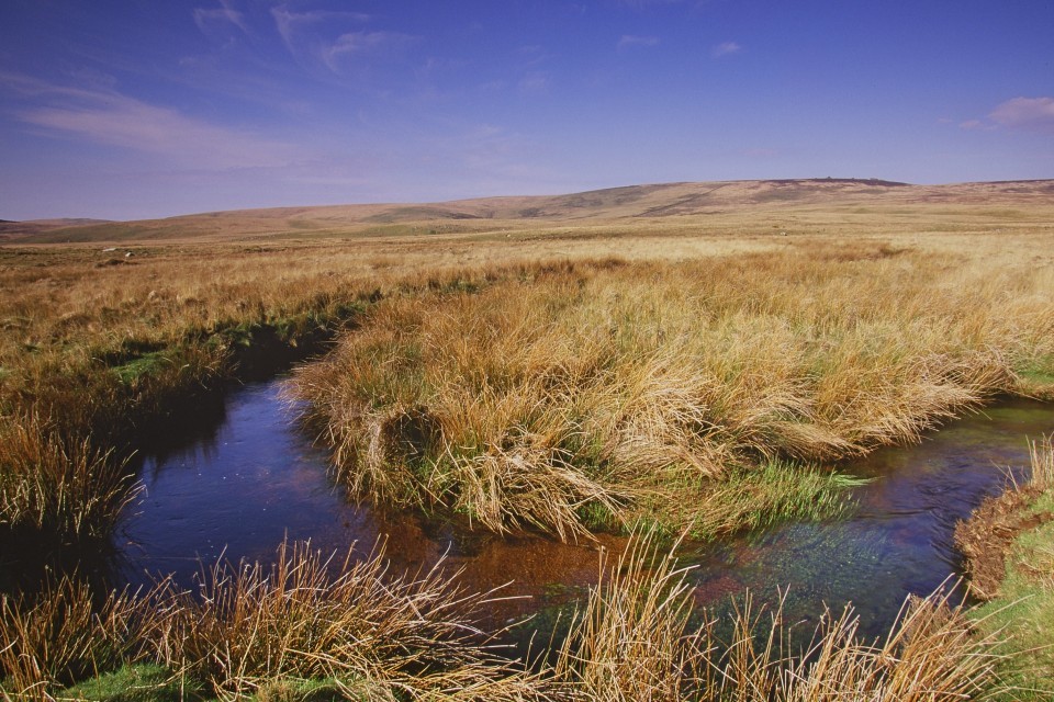 Thousands of hectares of vital peatland to be restored to help tackle climate change and protect biodiversity