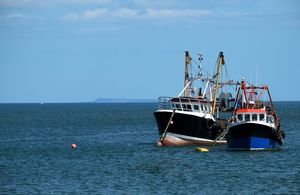 Fishing boats at sea