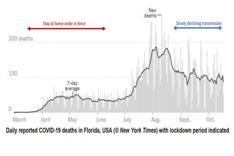 Daily reported COVID-19 deaths in Florida, USA (© New York Times) with lockdown period indicated. 