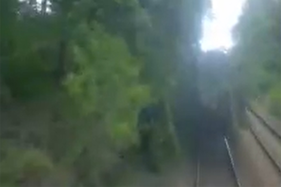Image from the train’s CCTV showing the fallen tree immediately before the accident