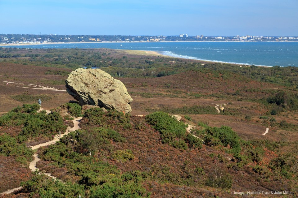 Partners agree 20-year vision for Purbeck Heaths super NNR